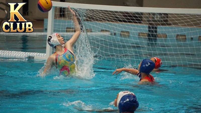 Điểm hấp dẫn của cá cược bóng nước