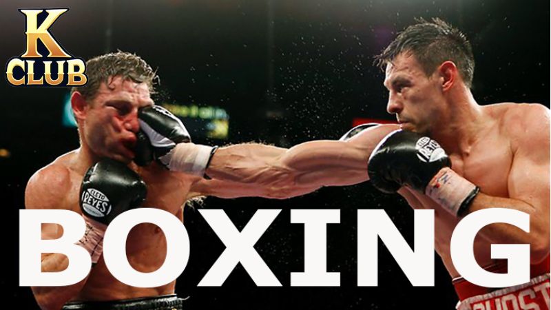 Các loại kèo cơ bản trong cá cược Boxing