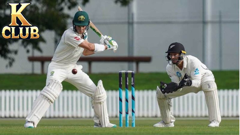 Bí kíp chơi cá cược Cricket một cách hiệu quả